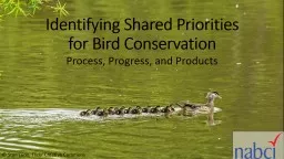 Identifying Shared Priorities for Bird Conservation