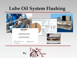 Lube Oil System Flushing