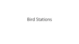 Bird Stations Beaks A cone shaped bill is found in many birds such as finches and grosbeaks. It is