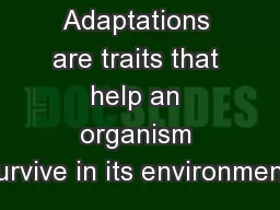 Adaptations are traits that help an organism survive in its environment.
