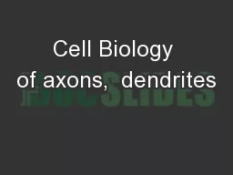 Cell Biology of axons,  dendrites