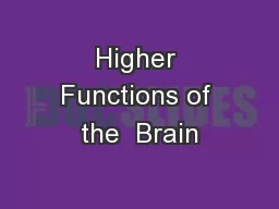 Higher Functions of the  Brain