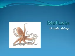 Mollusks 8 th  Grade Biology