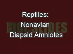 Reptiles: Nonavian Diapsid Amniotes