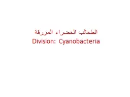 PPT-الطحالب الخضراء المزرقة thumbnail