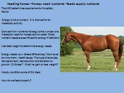 Feeding horses –horses need nutrients –feeds supply nutrients