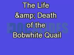 The Life & Death of the Bobwhite Quail