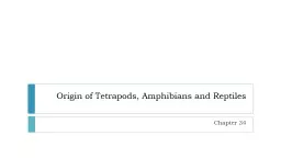 Origin of Tetrapods, Amphibians and Reptiles