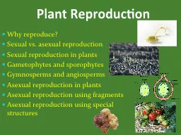 Plant Reproduction Why reproduce?