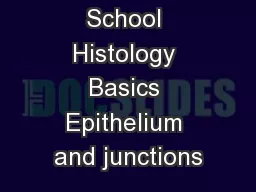 Medical School Histology Basics Epithelium and junctions