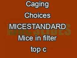 ULARs Caging Choices MICESTANDARD Mice in filter top c