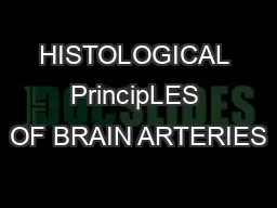HISTOLOGICAL PrincipLES OF BRAIN ARTERIES