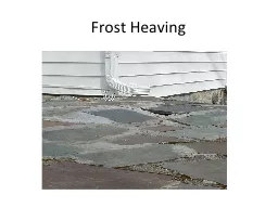 Frost Heaving Plant Roots (Root Pry)