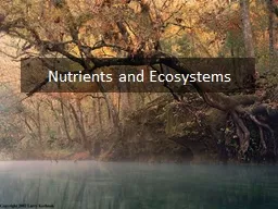 Nutrients and Ecosystems