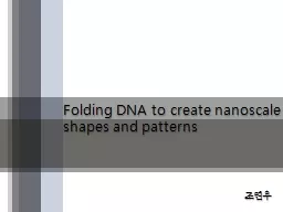 Folding DNA to create  nanoscale