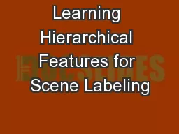 Learning Hierarchical Features for Scene Labeling