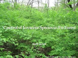 Control of Invasive Species in the Forest