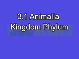 3.1 Animalia Kingdom Phylum