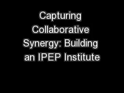 Capturing Collaborative Synergy: Building an IPEP Institute