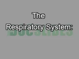 The Respiratory System: