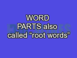 WORD PARTS also called “root words”