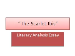 “The Scarlet Ibis” Literary Analysis Essay
