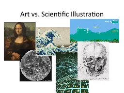 Art vs. Scientific Illustration