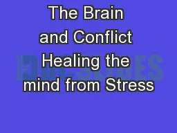 The Brain and Conflict Healing the mind from Stress