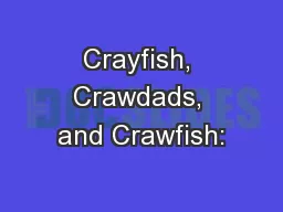 Crayfish, Crawdads, and Crawfish: