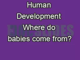 Human Development Where do babies come from?