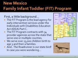 New Mexico Family Infant Toddler (FIT) Program