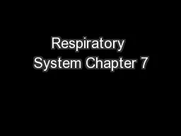 Respiratory System Chapter 7