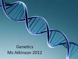 Genetics Ms Atkinson 2012