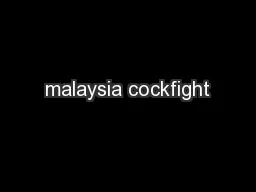 malaysia cockfight
