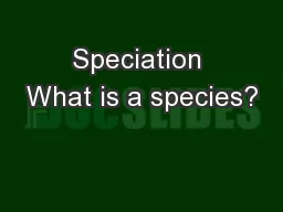 Speciation What is a species?