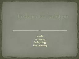 Fossils Anatomy Embryology
