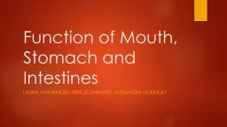 Function of Mouth, Stomach and Intestines