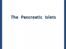 The  Pancreatic  Islets