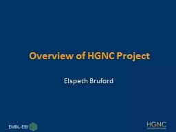 Future Plans for the HGNC