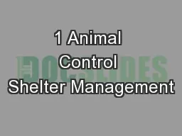 1 Animal Control Shelter Management