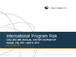 International Program Risk