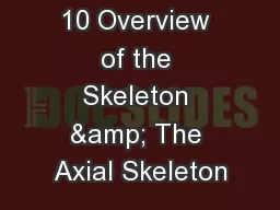 Ex. 9 & 10 Overview of the Skeleton & The Axial Skeleton