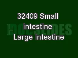 32409 Small intestine Large intestine