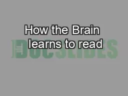 How the Brain  learns to read