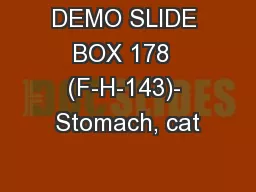 DEMO SLIDE BOX 178  (F-H-143)- Stomach, cat