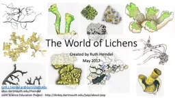The World of Lichens Created by Ruth Heindel