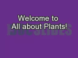 Welcome to All about Plants!