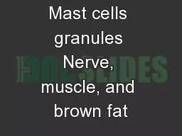 Mast cells granules Nerve, muscle, and brown fat