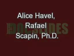 Alice Havel, Rafael Scapin, Ph.D.