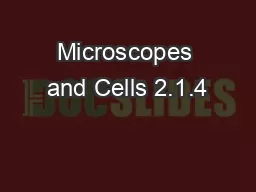 Microscopes and Cells 2.1.4